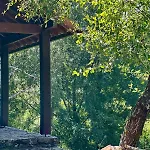 Aveleira Ecocasa Melgaço