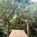 Aveleira Ecocasa Chalet