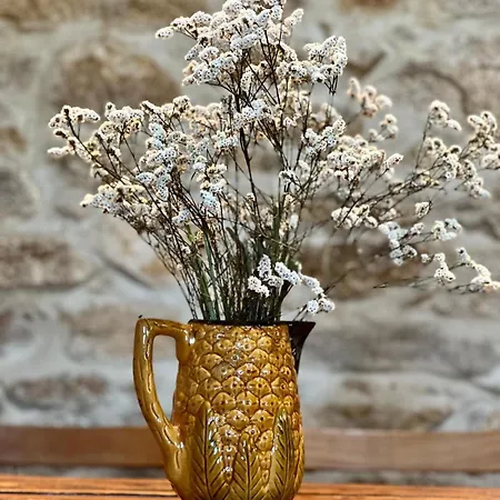 Chalet Aveleira Ecocasa