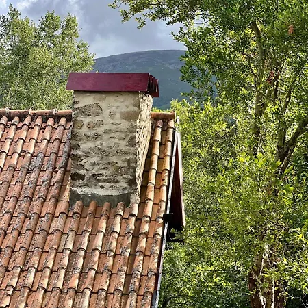 Aveleira Ecocasa *
