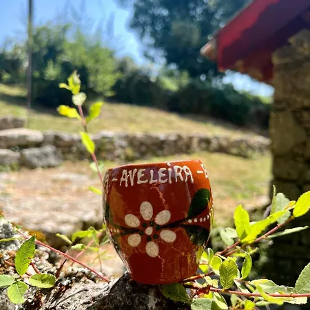 Aveleira Ecocasa Melgaço