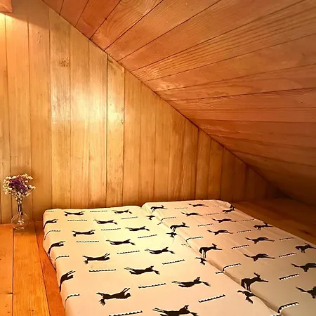 Aveleira Ecocasa Melgaço