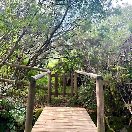 Aveleira Ecocasa בקתה