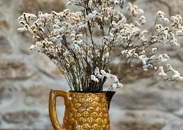 Chalet Aveleira Ecocasa