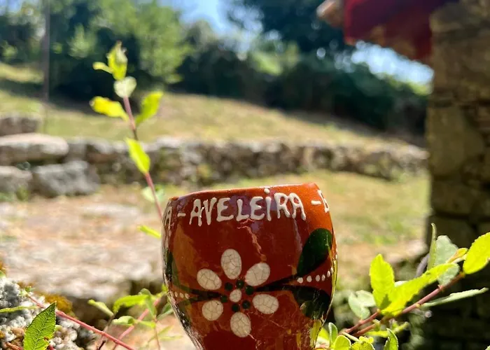 Aveleira Ecocasa Melgaço