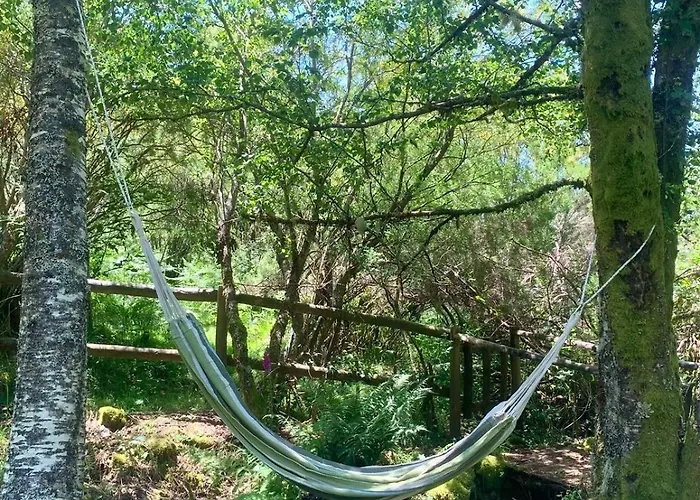 Aveleira Ecocasa Chalet *