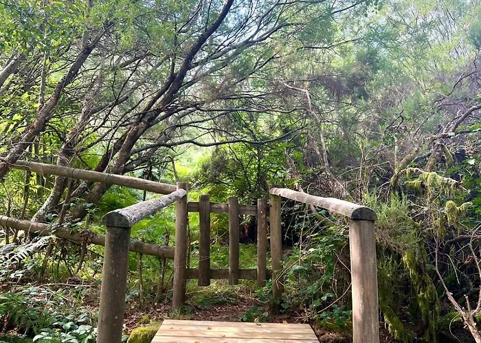 Aveleira Ecocasa Chalet